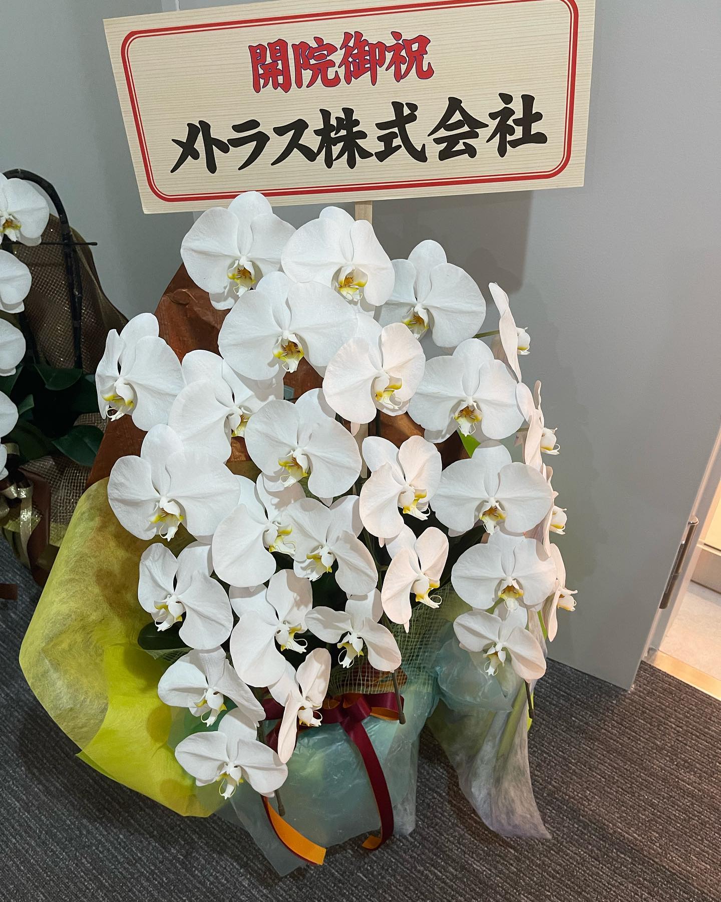 Instagramを更新しました!